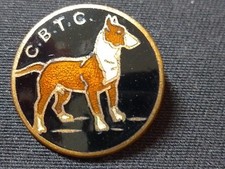 Canterbury bull terrier for sale  PRESTON