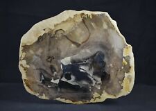 Rol petrified wood for sale  Hillsboro