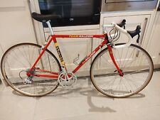 Raleigh team replica for sale  LEATHERHEAD