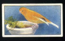 1930 hyde bird for sale  WELLS