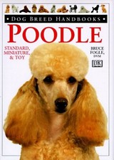 Poodle standard miniature for sale  UK