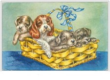 Dogs.puppies type spaniels d'occasion  Expédié en Belgium