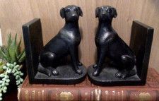 Black lab labrador for sale  Reno