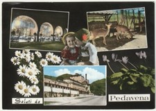 Pedavena belluno saluti usato  Isola Vicentina