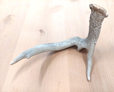 Real deer antler for sale  USA