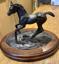 Elegant bronze foal for sale  SWINDON
