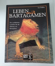 Leben bartagamen agama gebraucht kaufen  Forchheim