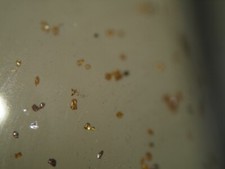 baikal gebraucht kaufen baikal gebraucht kaufen Siegsdorf