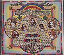 Lynyrd skynyrd second usato  Latina
