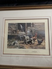 David shepherd eggs for sale  BASINGSTOKE
