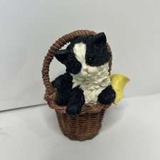 tuxedo cat b w for sale  Marion