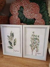 Pair watercolour herb for sale  THATCHAM