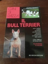 Maurizio marchetti bull usato  Torino