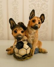 German shepherd alsatian for sale  UK