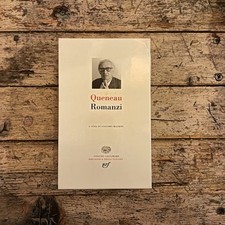 Raymond queneau romanzi usato  Italia