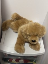 Douglas honey golden for sale  Freedom