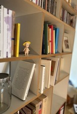 Schönes bücherregal rdner gebraucht kaufen  Düsseldorf