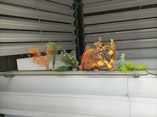 Décoration aquarium lot d'occasion  Marseille VI