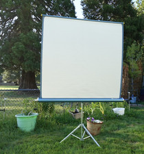 Vintage radiant picturemaster for sale  Salem