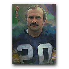 Rocky bleier art for sale  Richland