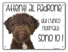 Cartello cane lagotto usato  Vertemate con Minoprio
