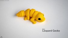 Baby leopard gecko for sale  Hiram