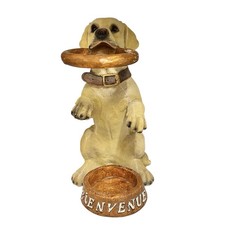 Small french dog for sale Small french dog for sale  LEYLAND