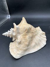 One medium queen for sale  Winamac