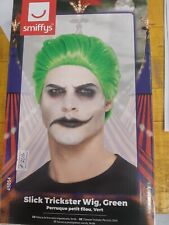 Parrucca joker usato  Guidonia Montecelio