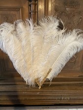 Fabulous huge burlesque for sale  LLANFAIRPWLLGWYNGYLL
