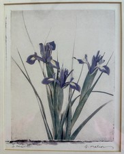 Pair vintage lithographic for sale  Cedar Rapids