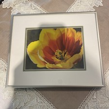 Framed matted tulip for sale  Hamilton