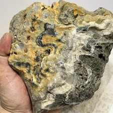 bumble bee jasper rough for sale bumble bee jasper rough for sale Spokane