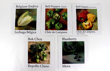 Lot color prints for sale  Atlanta