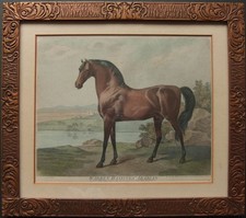 George stubbs warren for sale  HARROGATE