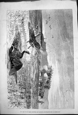 Original old antique for sale Original old antique for sale  UK