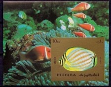 Fujeira 1972 pesce usato  Trambileno