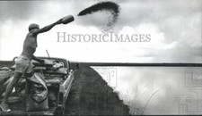 1971 press photo for sale  Memphis