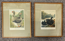 Lot antique lithograph for sale  Moscow
