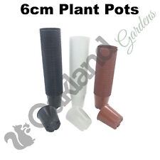 6cm plant pots for sale  UK