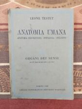 Leone testut anatomia usato  Alcamo