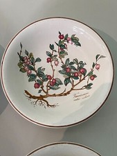 Dessert schale schälchen gebraucht kaufen  Hude