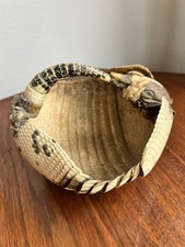 armadillo for sale armadillo for sale TONBRIDGE