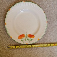 Vintage poppies dinner for sale  HOVE