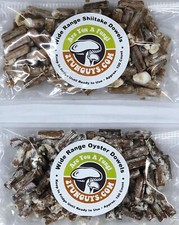 Shiitake oyster plug for sale  USA