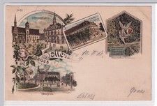 0881 litho gruss gebraucht kaufen  München