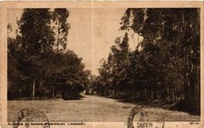 CPA AK Lambary. Alameda do Parque Wenceslau. BRAZIL (622090) comprar usado  Enviando para Brazil