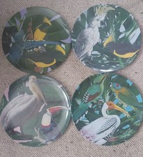 Klevering jungle birds for sale  BARNSLEY