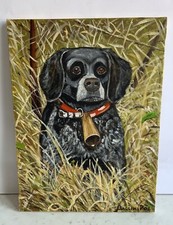 cani caccia breton usato cani caccia breton usato Motta Visconti