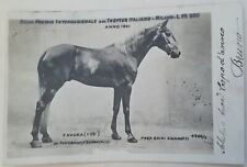 Cartolina gran premio usato  Roma
